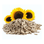 Sunflower Seeds (Suraj Mukhi ke Beej)