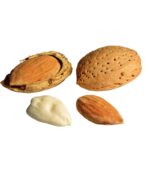 Buy Almond shell kagzi badam online best price