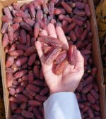 Mabroom Dates / Khajoor - Premium Quality Saudi Arabian Mabroom