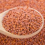 Halim Seeds
