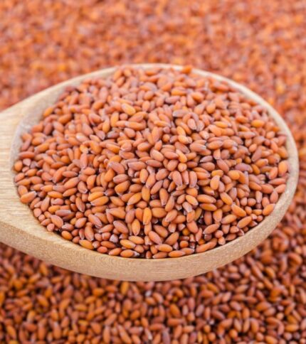 Halim Seeds